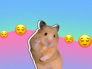 preen_animal-videos